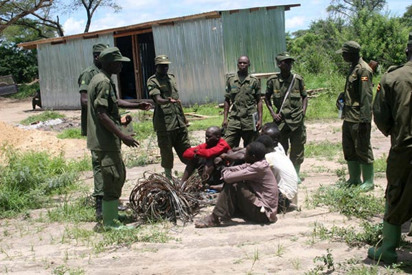 Rangers at Semanya Marine Rangers Station parade some of the men they found with snares allegedly used for poaching in Murchison Falls National Park. Cabinet has approved amendments to the Wildlife Act and toughened the penalties against wildlife crimes.