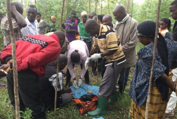 Police detectives examine human bones, teeth and skulls discovered in a swamp last month. The bones were suspected to be remains of children sacrificed by witch doctors. Photo by Ivan Kimbowa