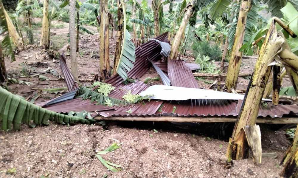 Heavy rain has destroyed houses and ravaged crops among others.  