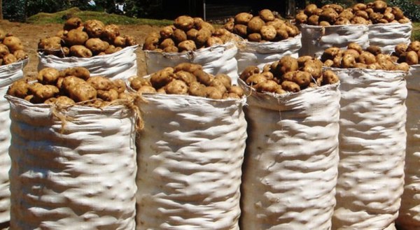 Consumers across the country are worried of the rise of Irish potato prices which has seen some abandon the food despite being their favorite.