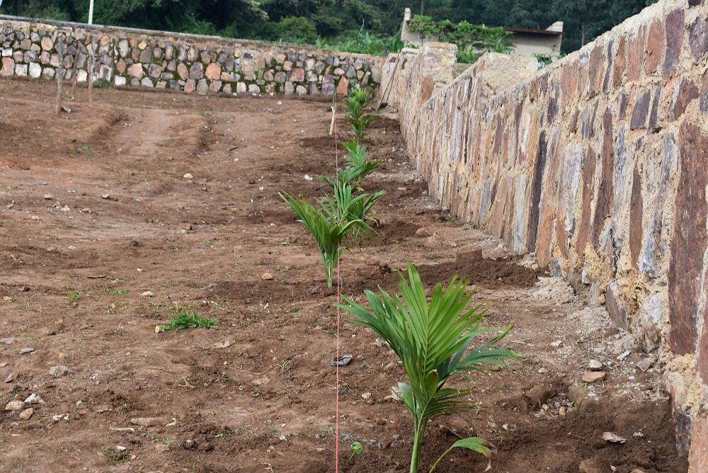 Rotary Club also planted ornamental trees.