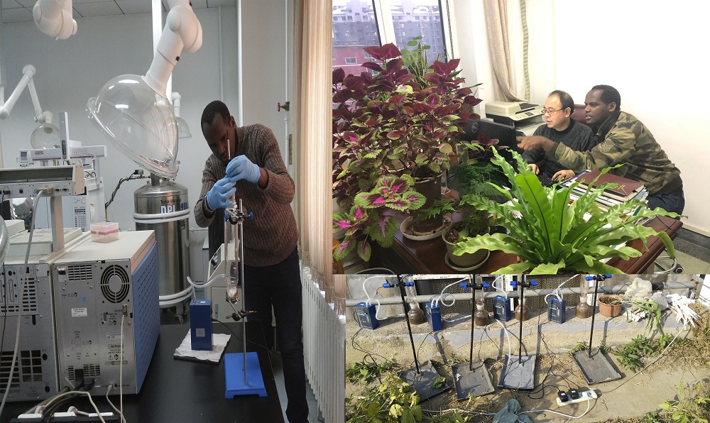 To address the issue of pest-infested fields, the team has discovered alcohol-based solutions that can melt the protective wax covering some of the pests’ bodies and hence lead to their death