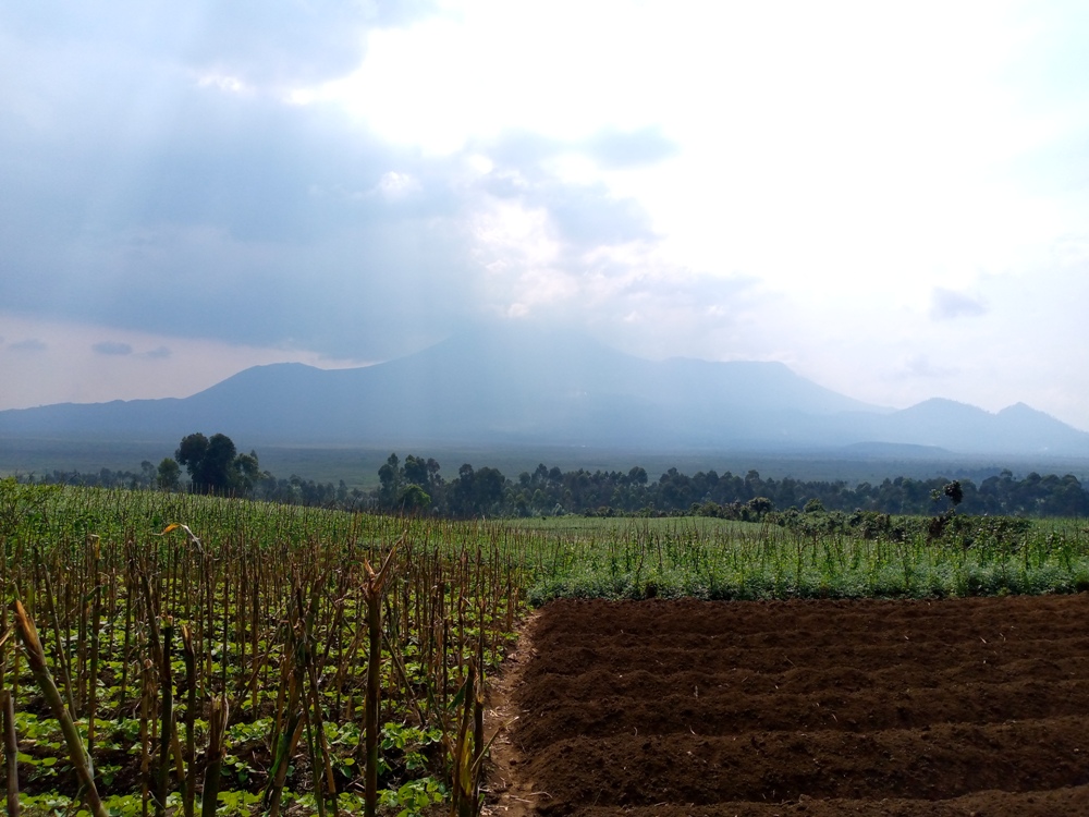 The valley connects Rwanda and the DRC is the source of a recent conflict that led to the death of Cyiza Jean
