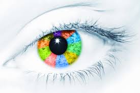 The visual cortex, the human brain's vision-processing center that was previously thought to mature and stabilize in the first few years of life, actually continues to develop until sometime in the late 30s or early 40s, a neuroscientist has found.