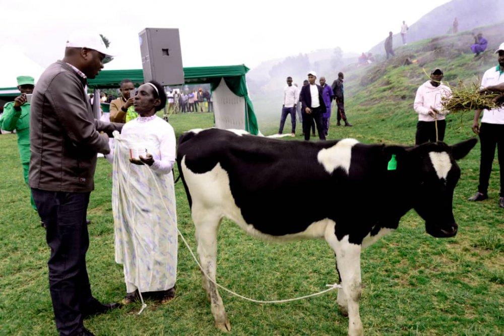 About 230 outstanding farmers of pyrethrum from Nyabihu and Rubavu districts have been given different items valued at Rwf 23 million by SOPYRWA