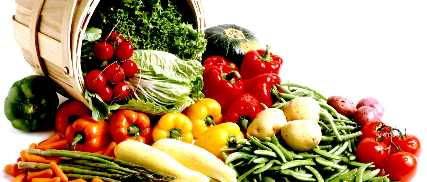 The study suggests adequate nutrition in adolescence is important for the refinement of the adult brain and behavior.
