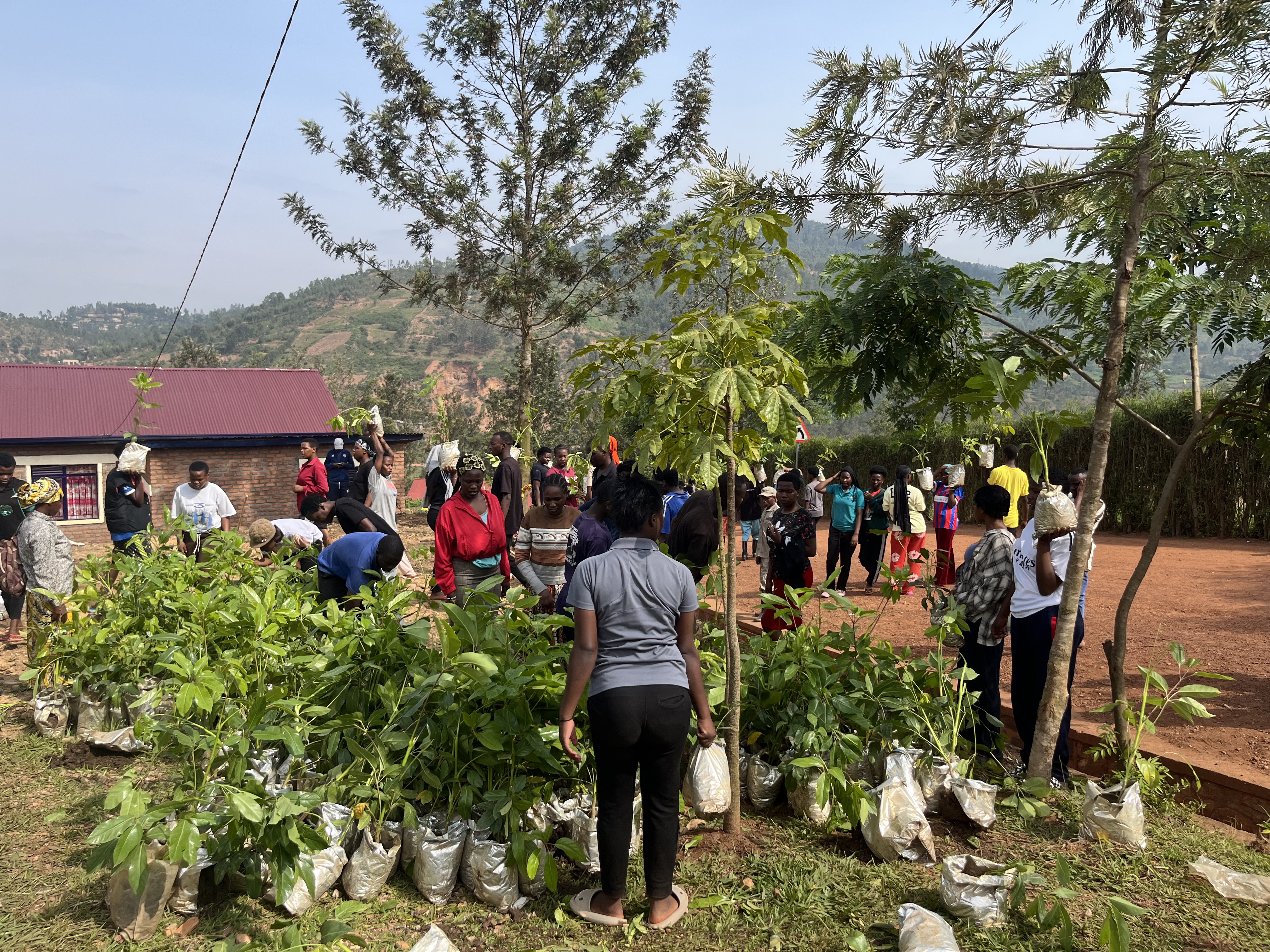 Ahead of the handover, leaders and residents participated in tree planting across the village as part of the ongoing #IgitiCyanjye (My Tree) campaign.