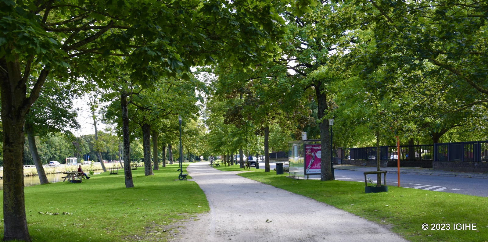 The city's cobblestone streets, standing as steadfast relics of bygone eras, invite exploration.