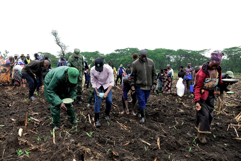 Rwanda Agriculture and Animal Resources Development Board (RAB) in partnership with Nyagatare District authorities and residents, has initiated the planting of a new bean variety expected to double the yield previously obtained.