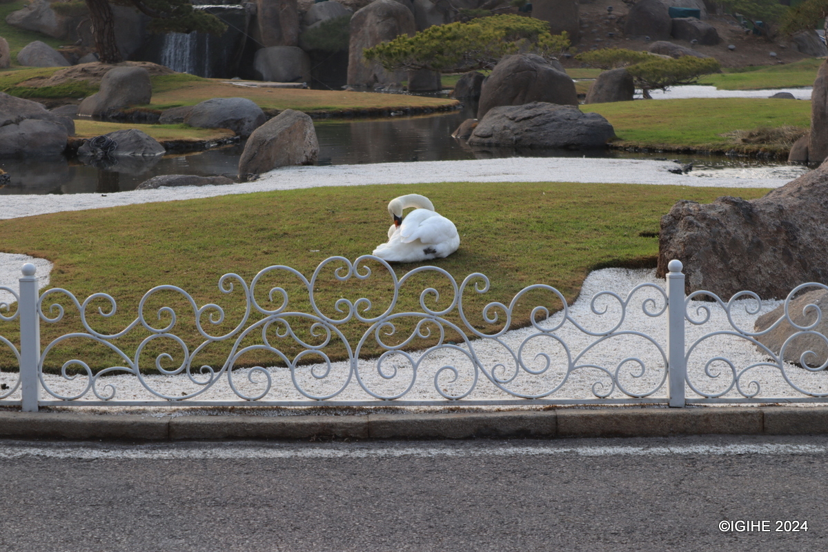 The Oriental Garden Landscape was designed by an Australian architect and further enhanced by the descendants of a renowned Korean gardening family.