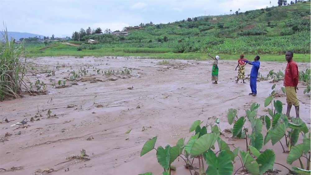 Last week, MINAGRI revealed that heavy rains and floods have damaged crops on 4000 hectares worth Rwf4 billion in the first four months of the year