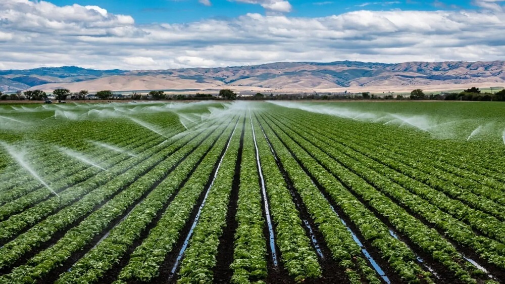 As part of the government's long-term plan, agricultural productivity is expected to grow by at least 50% by 2029, with a focus on boosting crop and livestock production.