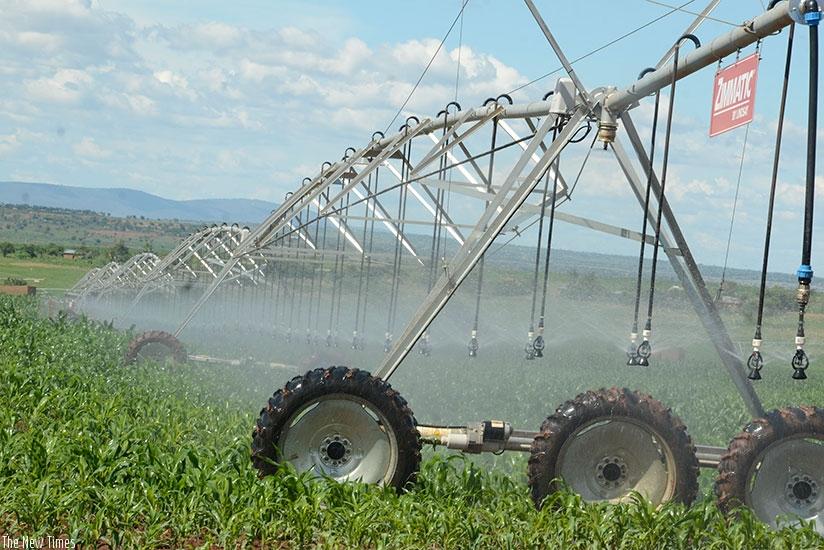 Irrigation upscale tops farmers' wishes placed under the next presidency