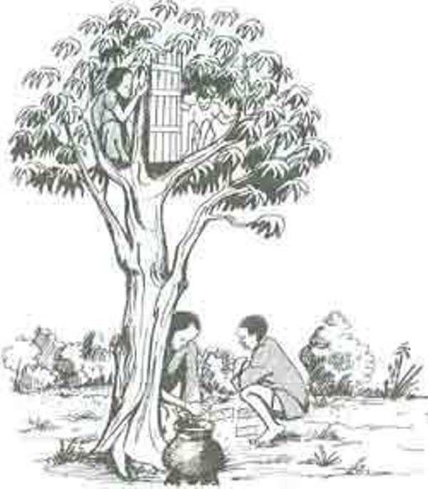 While hiding with her from thieves in a tree, Joriji Baneti released a door that crushed the thieves, making them flee and abandon the money they were counting. 