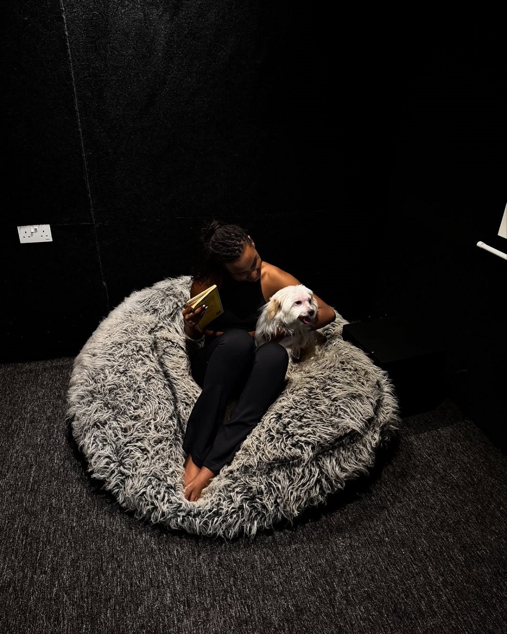 Kate Bashabe revealed that she has eight dogs and even cultivates food for them on land she specifically purchased for their care.