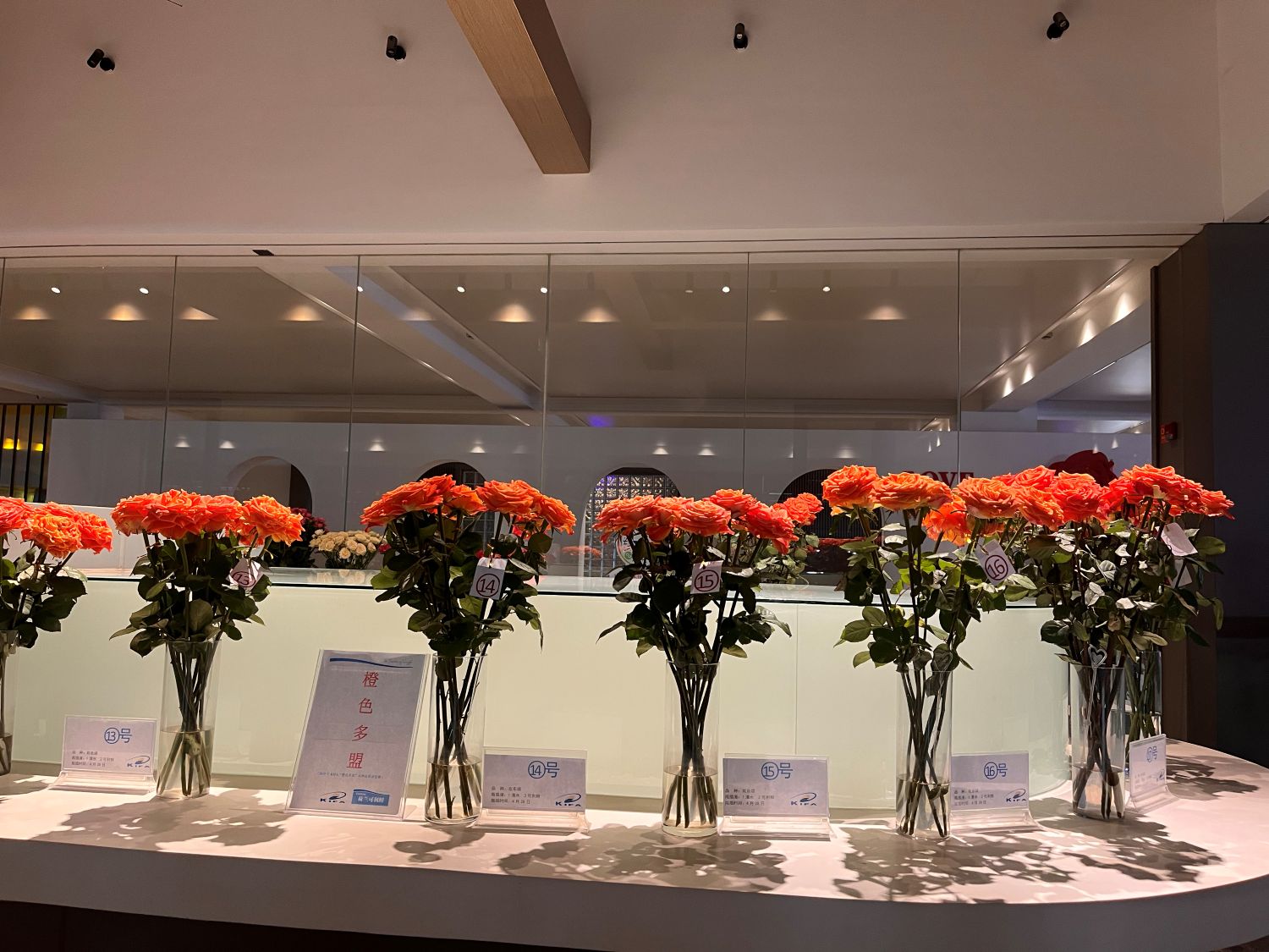 KIFA exports flowers to over 50 countries, including Japan, Russia, and Australia.