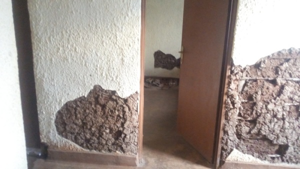 One of dialapidated houses of genocide survivors