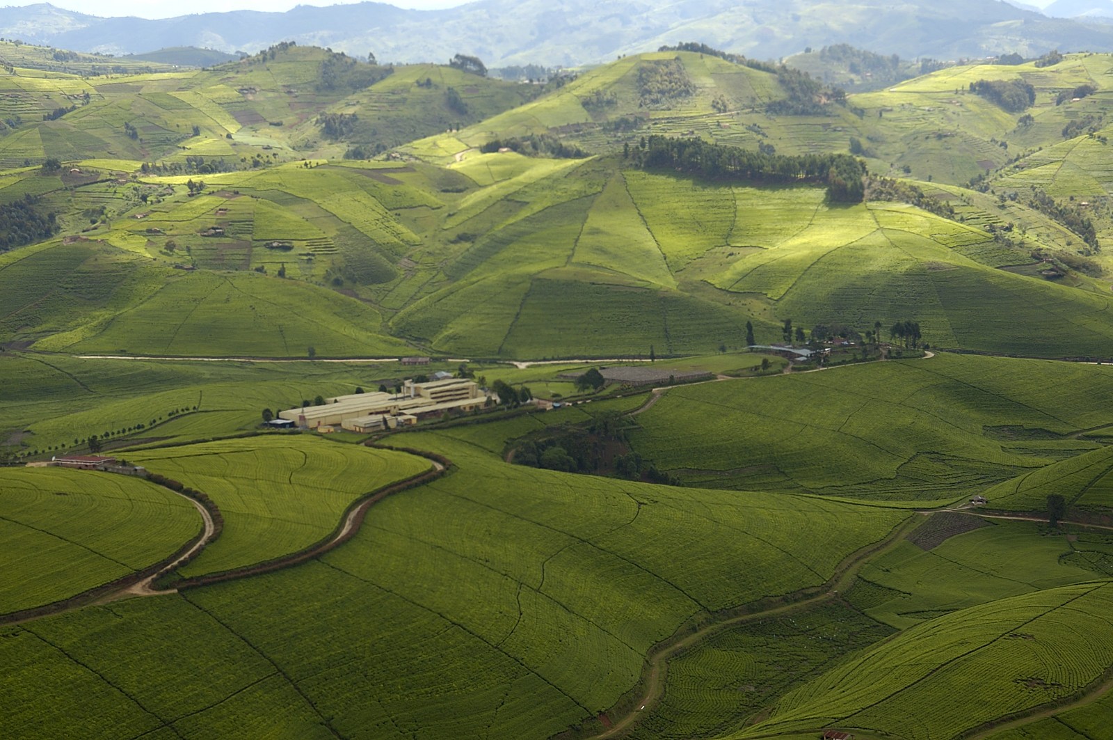 Rwanda is nicknamed as the ‘land of thousand hills.