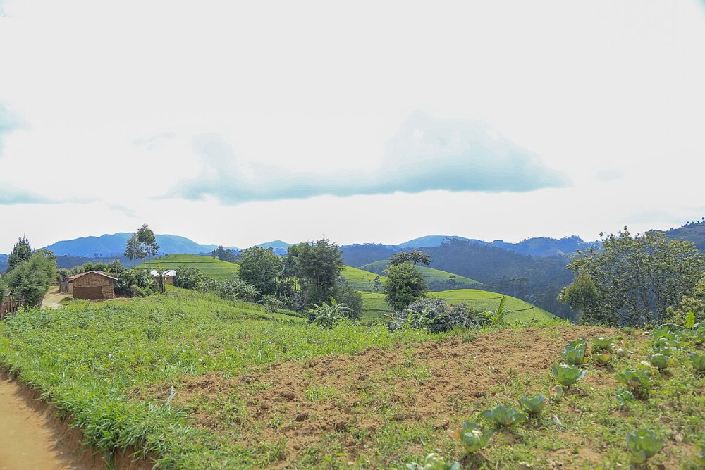 The National Land Authority (NLA) affirmed that the temporary suspension of the use of powers of attorney for all land-related transactions across Rwanda is aimed at curbing rising cases of land fraud.