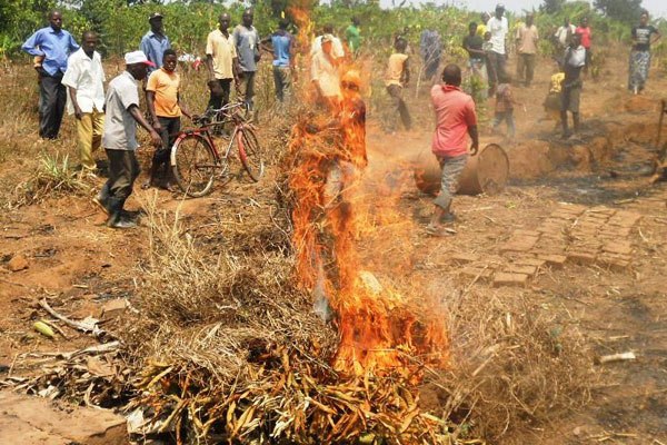 The two brothers were tied together and burnt to death.