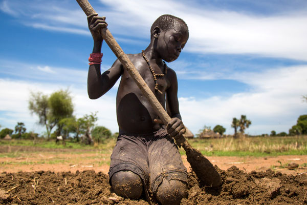 Nyibol Lual, 13 years old, helps her family to prepare the land for cultivation on May 31, 2017, in Panthau, Northern Bahr al Ghazal, South Sudan. The family has a small land where they cultivate sorghum. An estimated 63 per cent of the population in Northern Bahr al Ghazal is experiencing severe food insecurity, according to the latest Integrated Food Security Phase Classification (IPC) report.