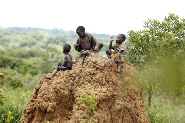 With an addition of two million children every year and with a fertility rate of about seven children per woman in rural areas, Uganda is likely to see its population rise to from 36.4 million in 2014 to 102 million by 2050, the 2016 projections indicate.