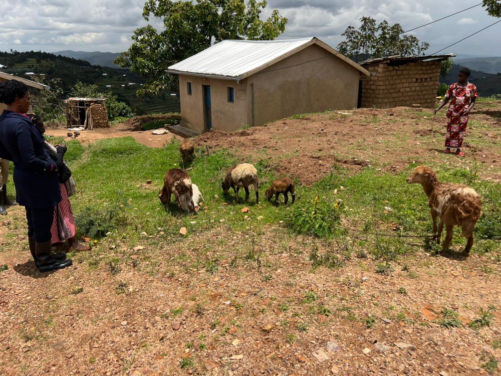 Working in groups have helped them buy small livestock.