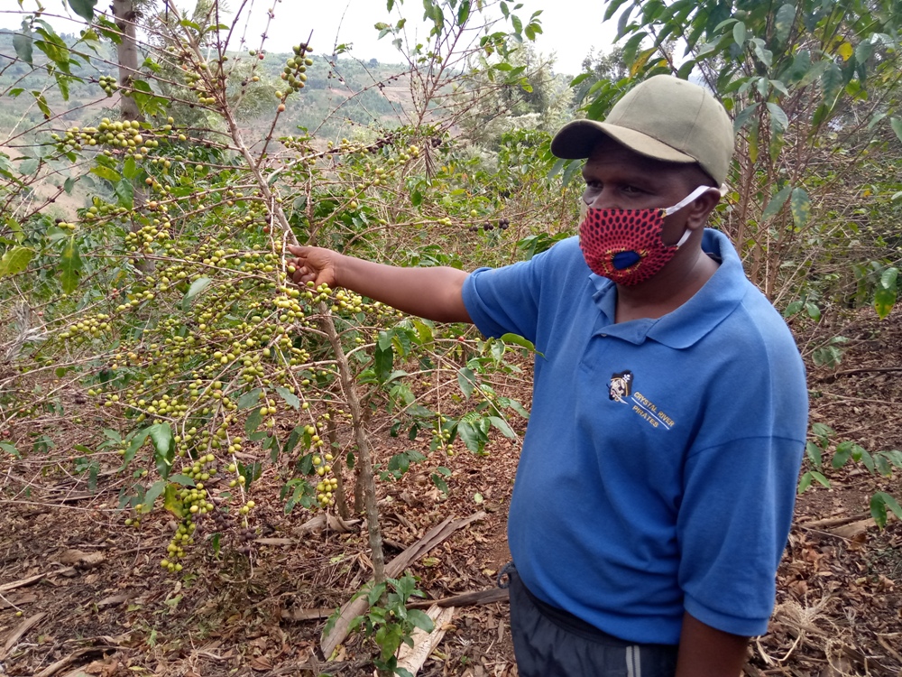 Gerageza Straton says he has achieved a lot thanks to coffee