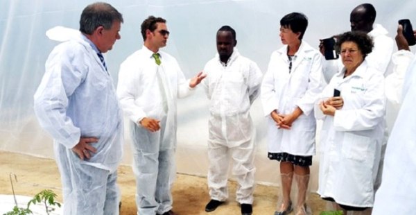 Tony Nsanganira, State Minister for Agriculture discusses with Dutch delegation inside a Greenhouse launched Tuesday in Rulindo district.