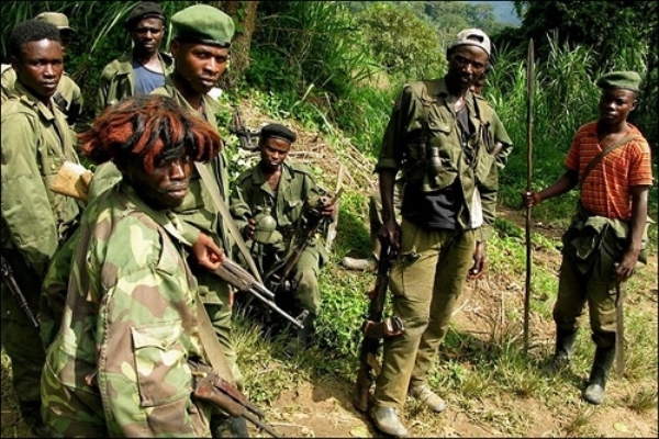 FDLR  has been operating in forests of eastern Democratic Republic of Congo (DRC) 