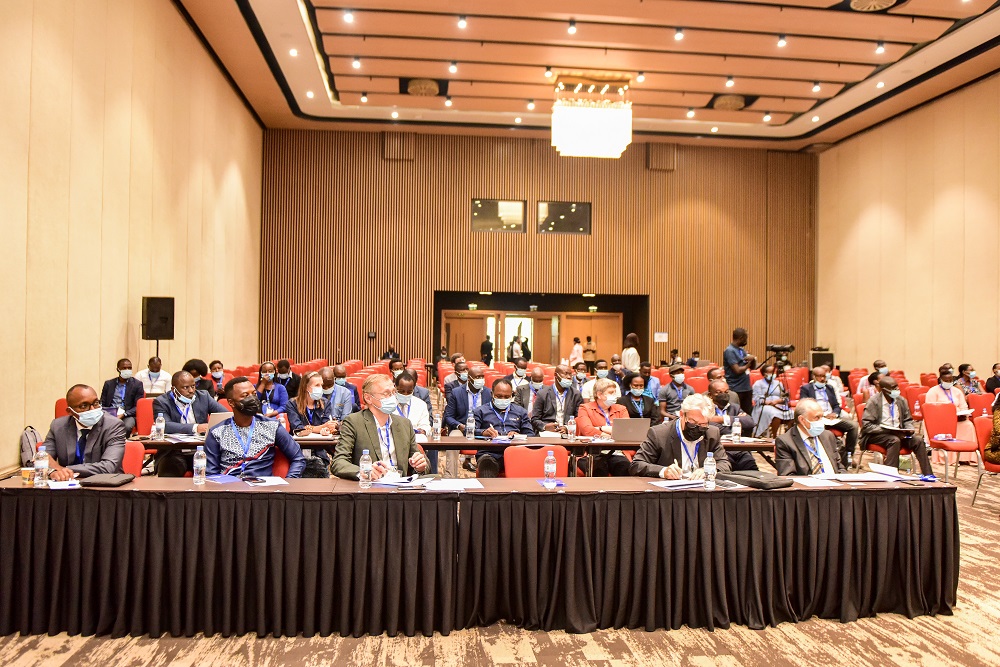 Investors have been urged to contribute to the progress of Africa’s health sector.  