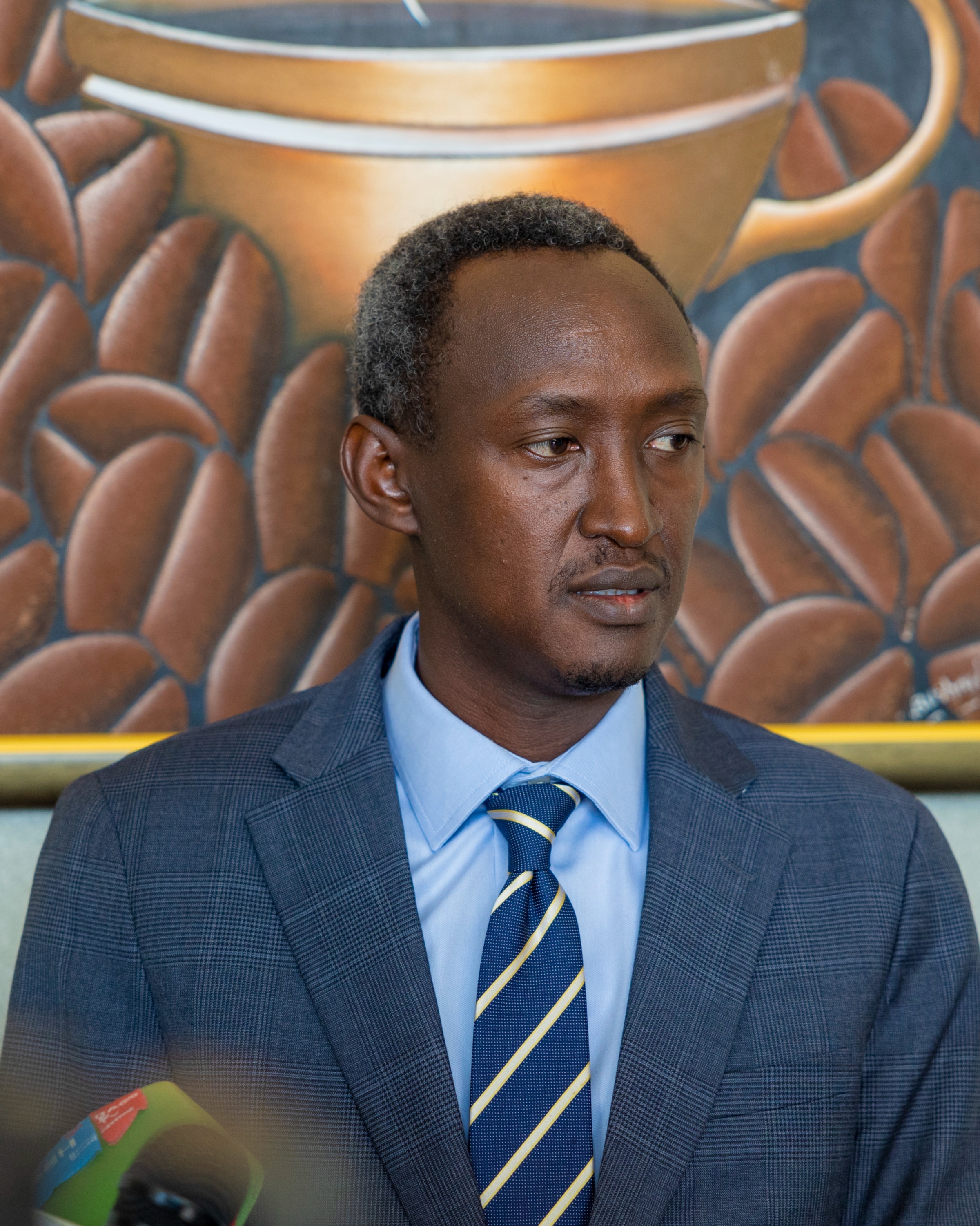 NISR Director General Ivan Murenzi addresses members of the press.
