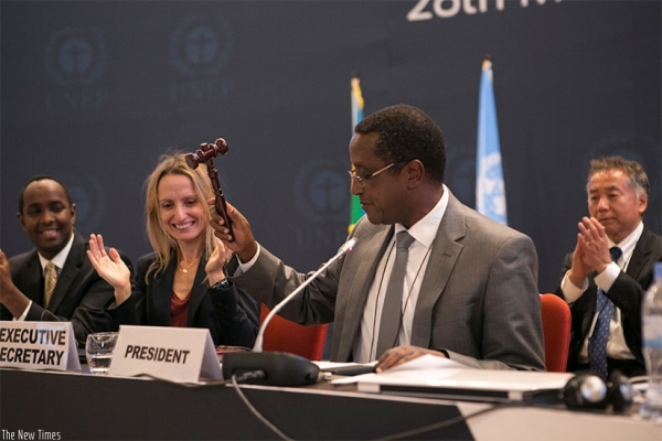 Minister Biruta gavels to symbolize the closing the deal as parties agree on the Kigali amendment.