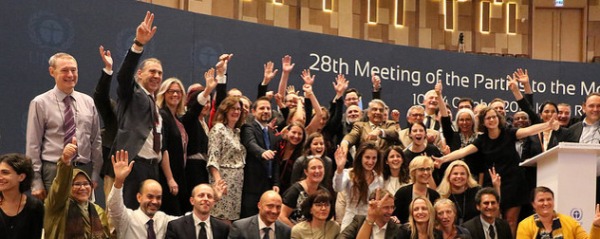 Delegates celebrate the adoption of the Kigali Amendment to the Montreal Protocol. Photo courtesy the Rwanda Environment Management Authority (REMA).