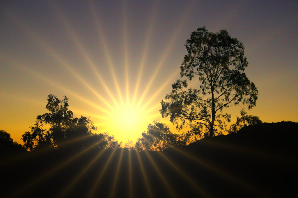 Considered a hormone rather than a vitamin, vitamin D is produced when skin is exposed to sunlight. Vitamin D receptors are found in virtually every cell in the human body. As a result, it plays a wide role in the body's functions, including cell growth modulation, neuromuscular and immune function and inflammation reduction.