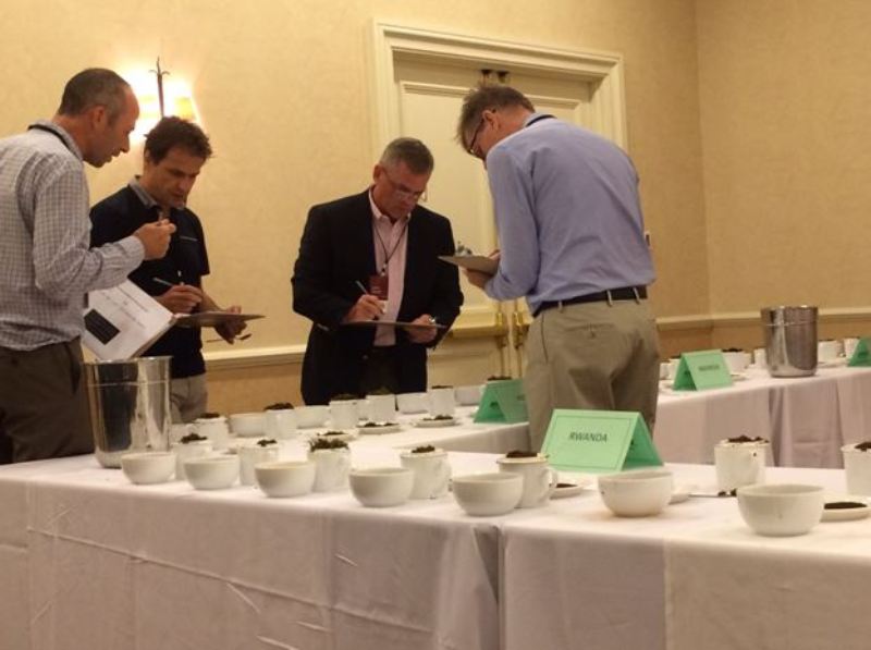 Tea tasters marking tea at the Gold Medal Tea Competition 2015 in San Antonio