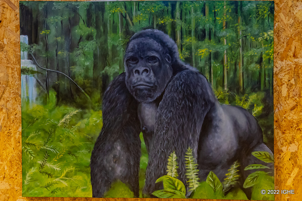 Gorillas are among species attracting a large number of tourists in Rwanda. The World Tourism Day coincided with tourism exhibition. 