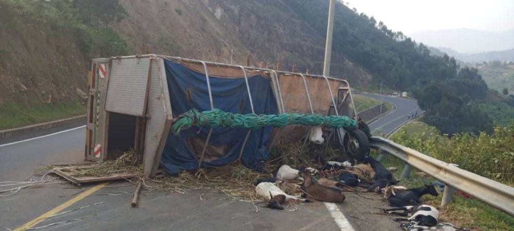 The accident killed one person and 30 goats