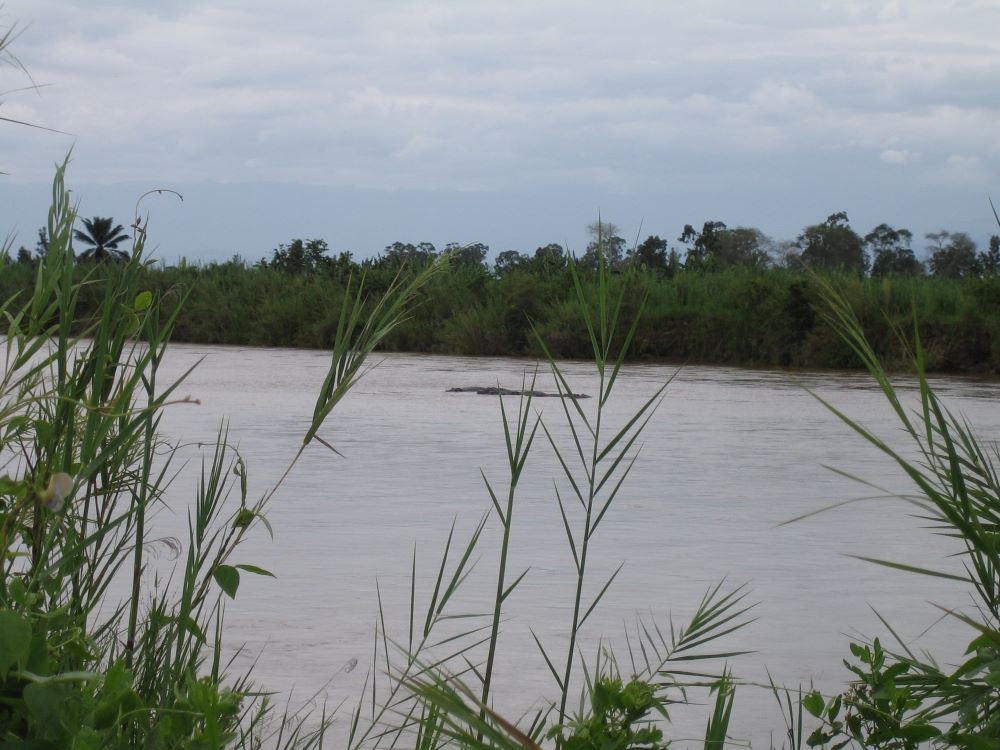 Three bodies have been found floating in River Rusizi in Burundi’s Bujumbura Province, in Cibitoke Commune near the border with the Democratic Republic of the Congo (DRC).