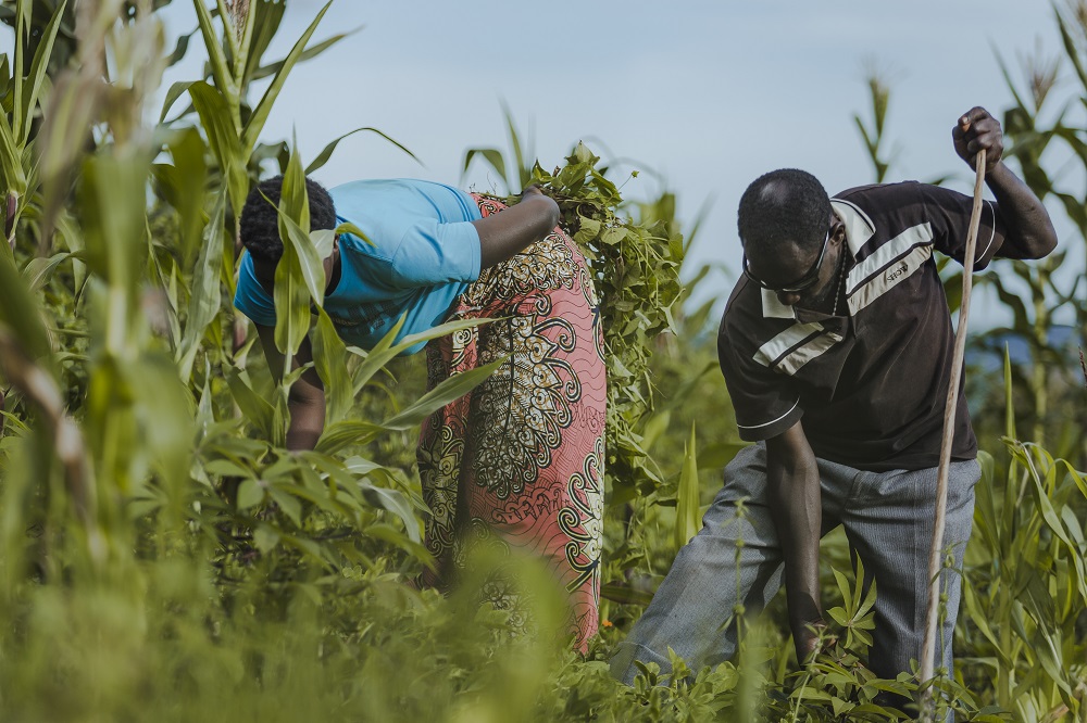 Ndagijimana and her wife have ventured into agriculture. 