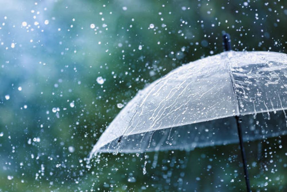 In the face of a rainy day, a pessimist laments the disruption to their plans, whereas an optimist envisions the blossoming of flowers with every falling raindrop. Photo iStock