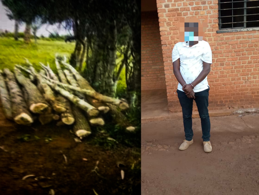 Ndayisabye  was arrested on Friday 10th February 2023 for allegedly cutting trees in a protected forest located in Rukira Sector.