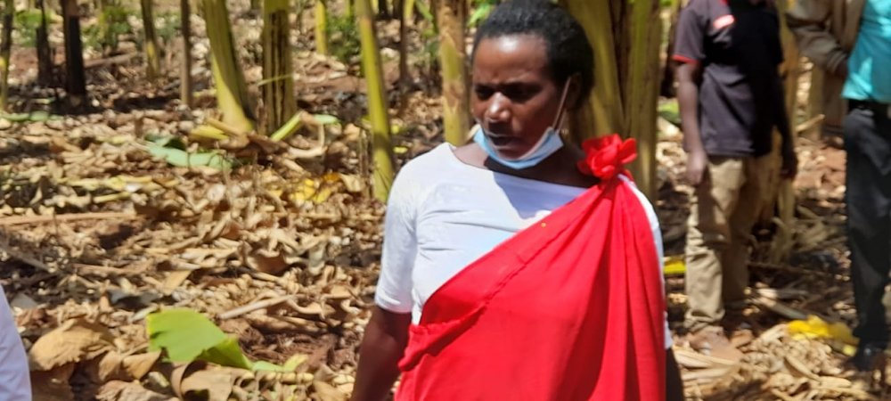 Niyonteze attests that she earns Rwf300,000 every month from her banana field. 