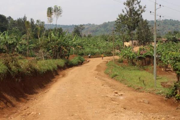 The location where the dead body was found yesterday