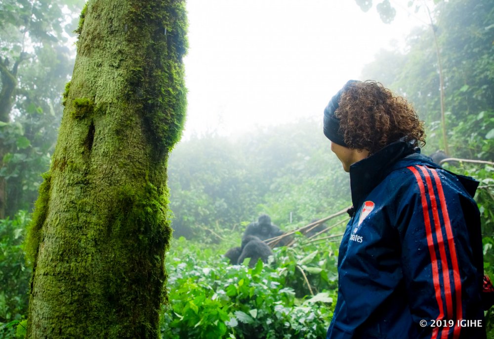 In Volcanoes National Park, David and his family trekked to visit the Kwitonda family of mountain gorillas