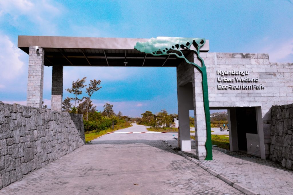 Nyandungu Eco-tourism Park welcomed 76,754 visitors in 2024, marking a steady rise in interest for Rwanda’s eco-tourism initiatives. 