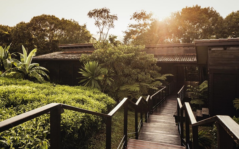 One & Only Nyungwe House is built in the midst of Nyungwe National Park.  