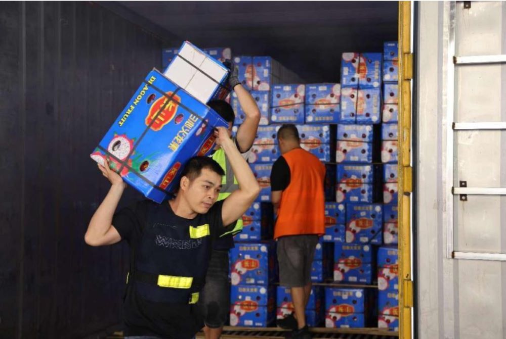 Workers are moving dragon fruits imported from Vietnam at a fruit trading center in Youyi township, Pingxiang, south China's Guangxi Zhuang autonomous region. (Photo by Zhang Penghui/People's Daily)
