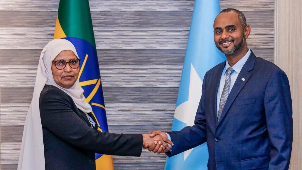 The committment came following attended by high-level Ethiopian delegation led by Ethiopian Minister of Defense Aisha Mohammed and Somalian officials.