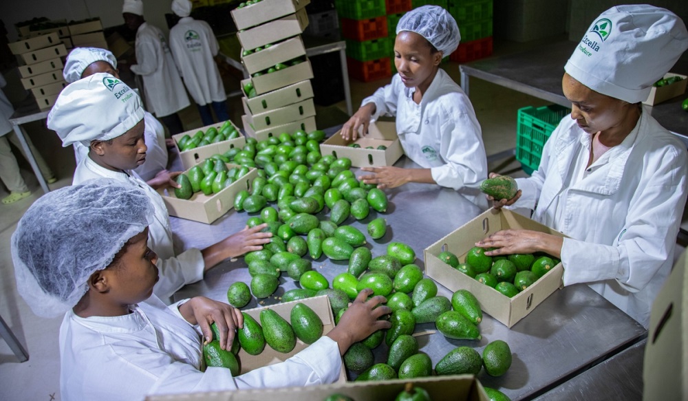 The National Institute of Statistics of Rwanda (NISR) has revealed that Rwanda's trade with international markets reached a total value of $1.995 billion in the first quarter of 2025.
